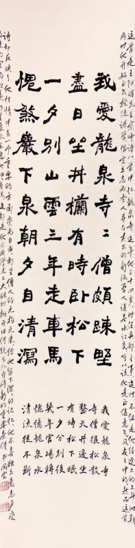 赣州南康区书画家协会-林贤镇书法作品欣赏